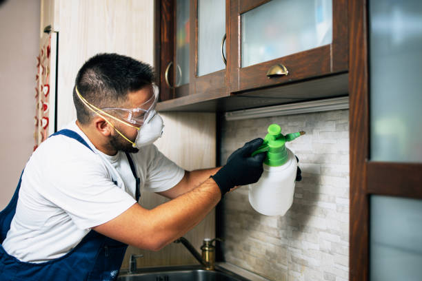 Best Cockroach Control Services  in La Luz, NM